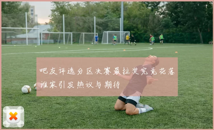 吧友评选分区决赛最拉奖究竟花落谁家引发热议与期待
